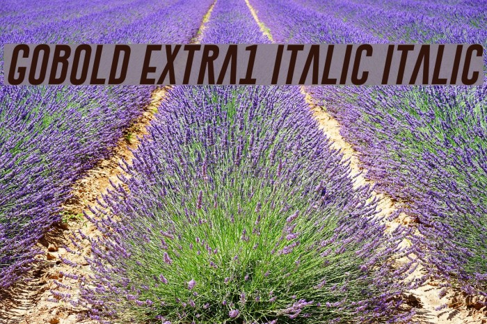 Gobold Extra1 Italic Italic Font examples