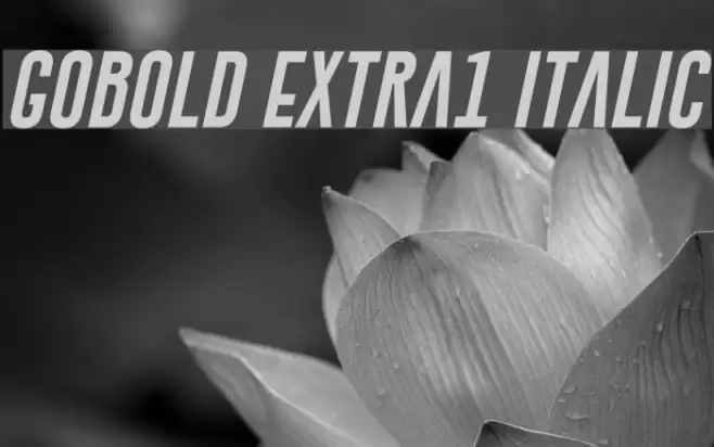 Gobold Extra1 Italic Font examples