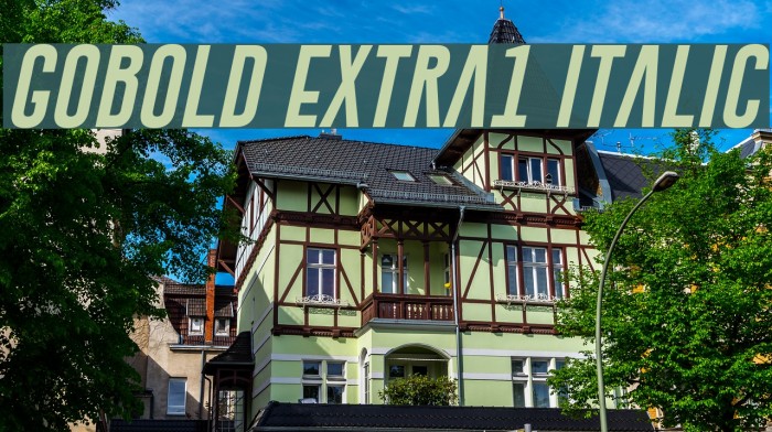 Gobold Extra1 Italic Font examples
