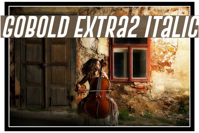 Gobold Extra2 Italic Font examples