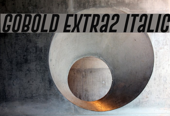 Gobold Extra2 Italic Font examples