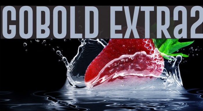 Gobold Extra2 Font examples