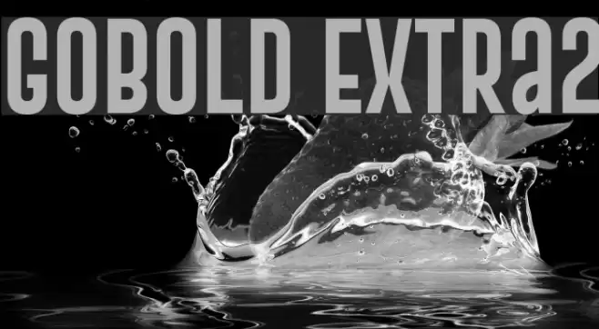 Gobold Extra2 Font examples