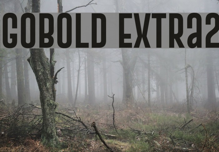 Gobold Extra2 Font examples