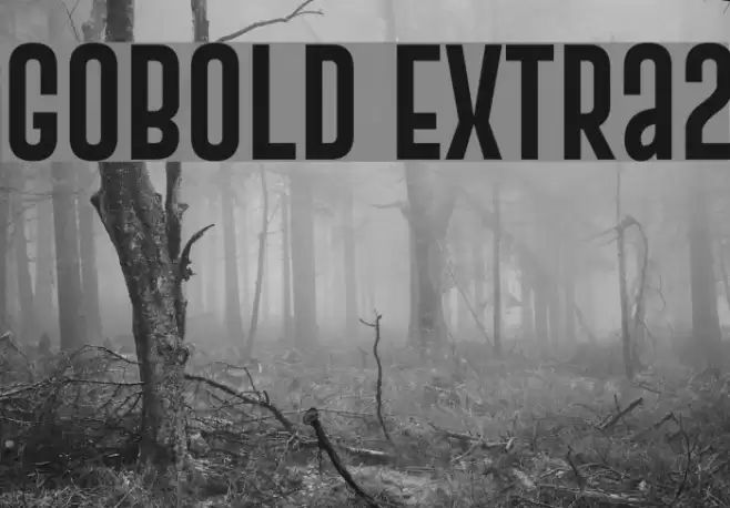 Gobold Extra2 Font examples