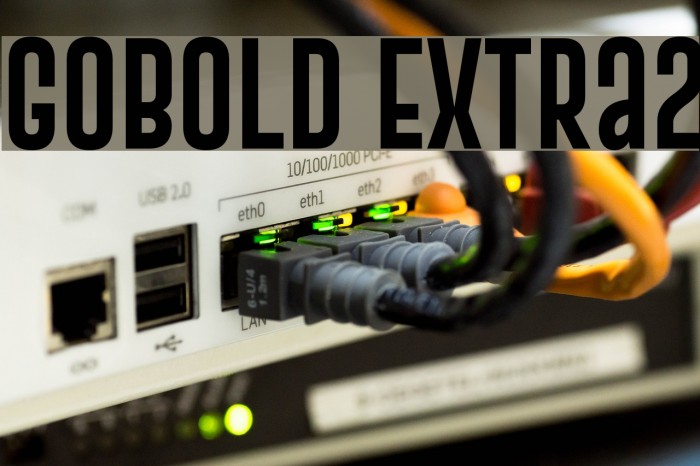 Gobold Extra2 Font examples