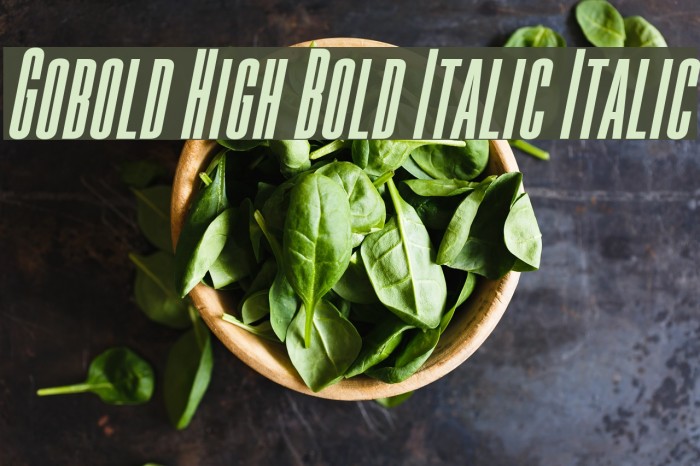 Gobold High Bold Italic Italic Font examples