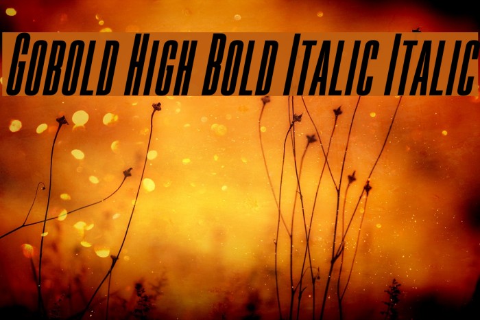 Gobold High Bold Italic Italic Font examples