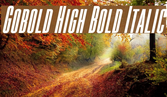 Gobold High Bold Italic Font examples
