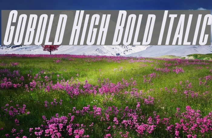 Gobold High Bold Italic Font examples