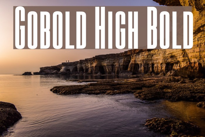 Gobold High Bold Font examples