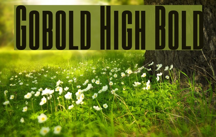 Gobold High Bold Font examples