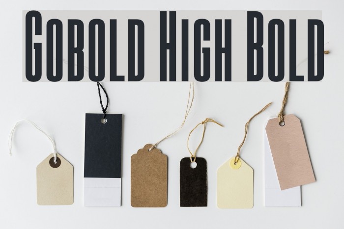 Gobold High Bold Font examples