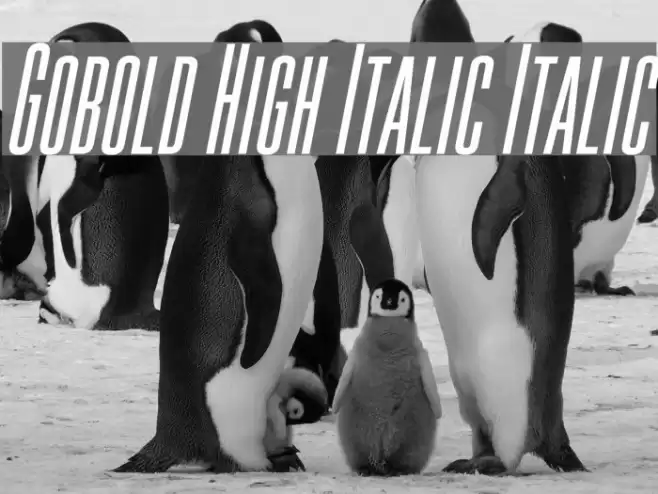 Gobold High Italic Italic Шрифта examples
