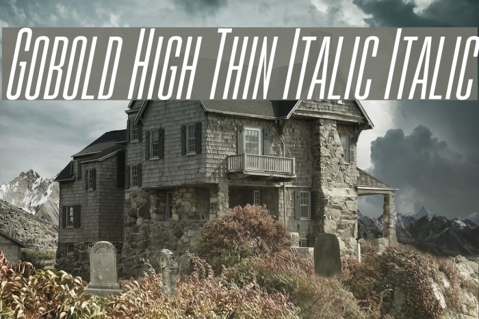 Gobold High Thin Italic Italic Example 1