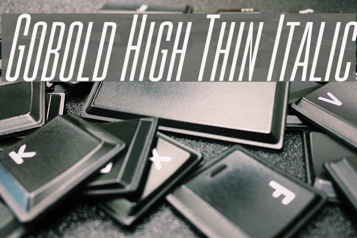 Gobold High Thin Italic Font examples