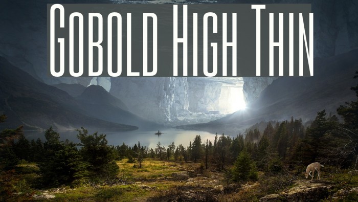 Gobold High Thin Fonte examples