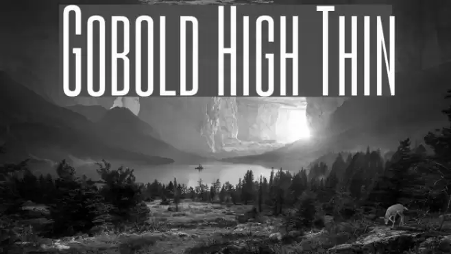 Gobold High Thin Fonte examples