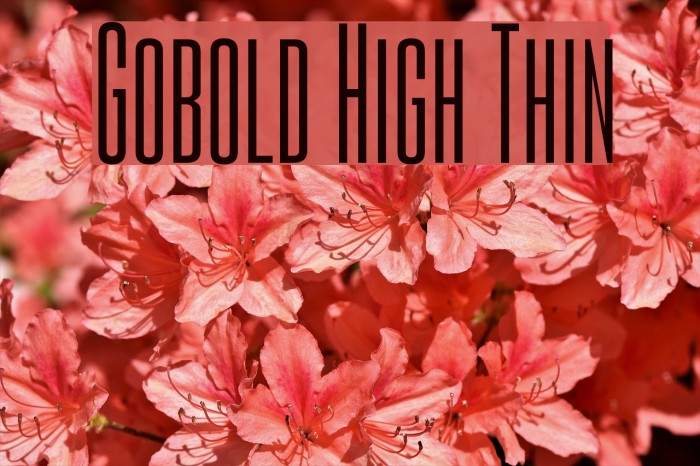 Gobold High Thin Fonte examples