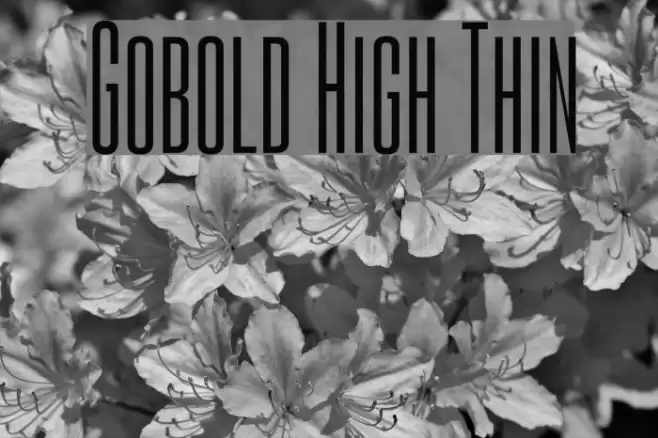 Gobold High Thin Fonte examples