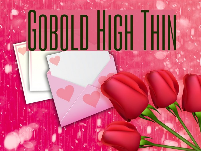 Gobold High Thin Fonte examples