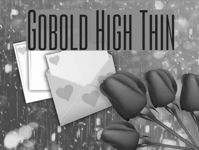 Gobold High Thin Fonte examples