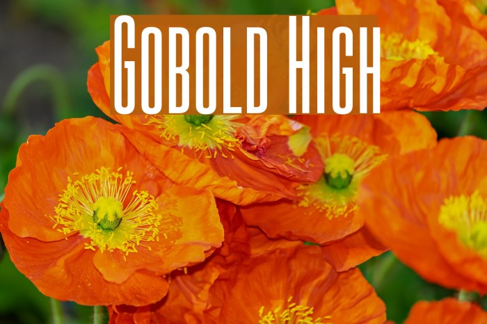 Gobold High Caratteri examples