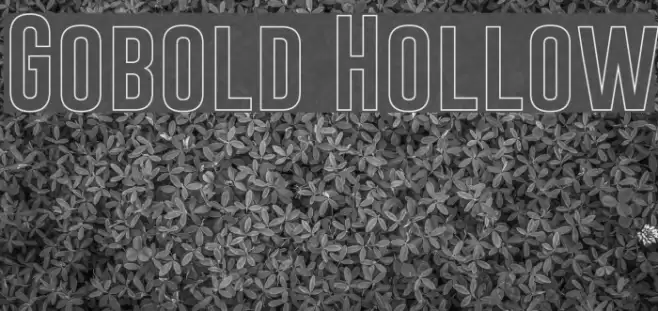 Gobold Hollow Font examples