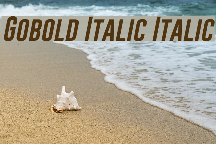 Gobold Italic Italic Font examples