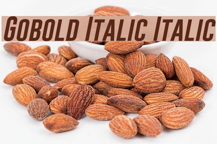 Gobold Italic Italic Font examples