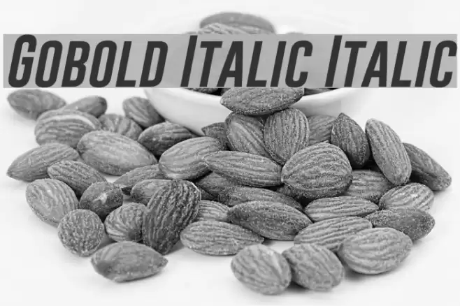 Gobold Italic Italic Fonte examples