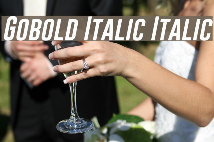 Gobold Italic Italic Font examples