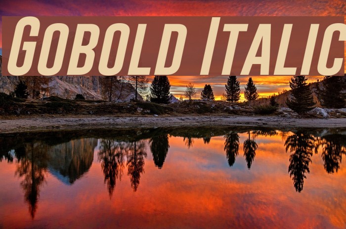 Gobold Italic Font examples