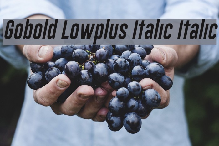 Gobold Lowplus Italic Italic Font examples