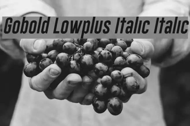 Gobold Lowplus Italic Italic Font examples
