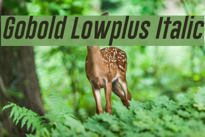 Gobold Lowplus Italic Font examples