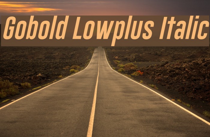 Gobold Lowplus Italic Font examples