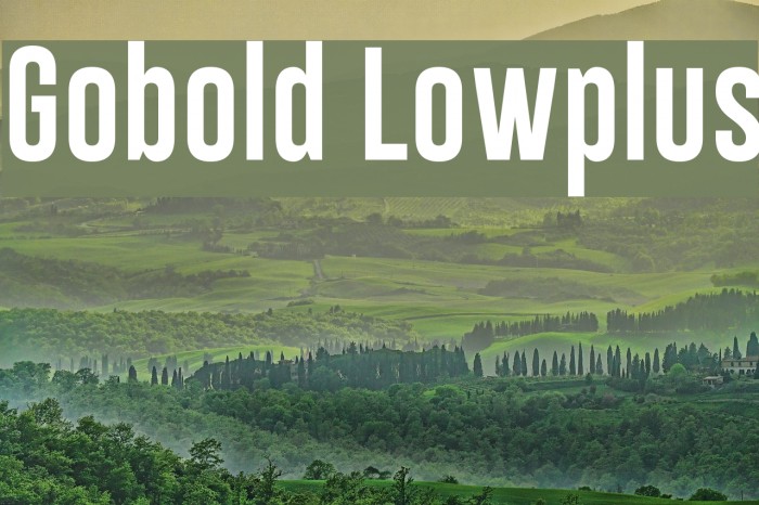 Gobold Lowplus Font examples