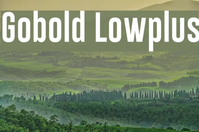 Gobold Lowplus Example 1