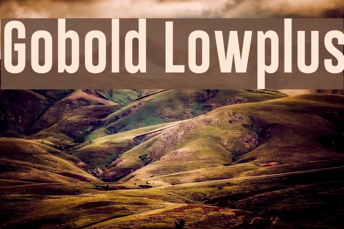 Gobold Lowplus Font examples