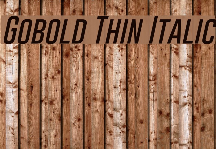Gobold Thin Italic Font examples