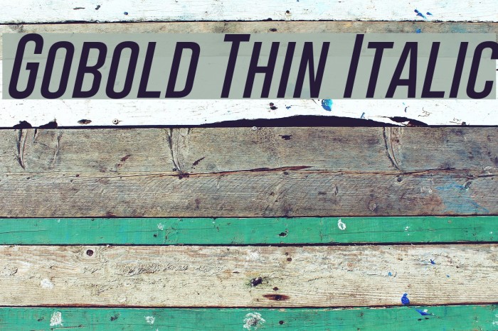 Gobold Thin Italic Font examples