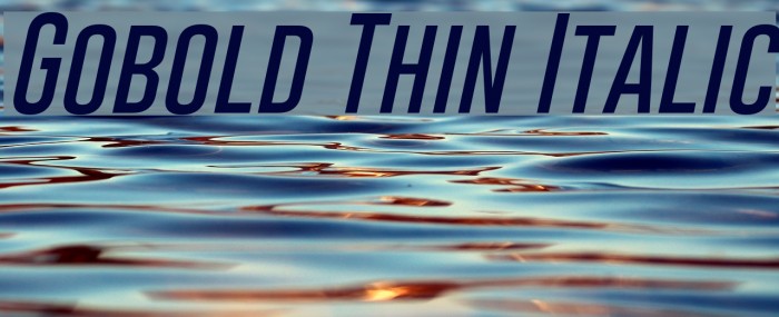 Gobold Thin Italic Font examples