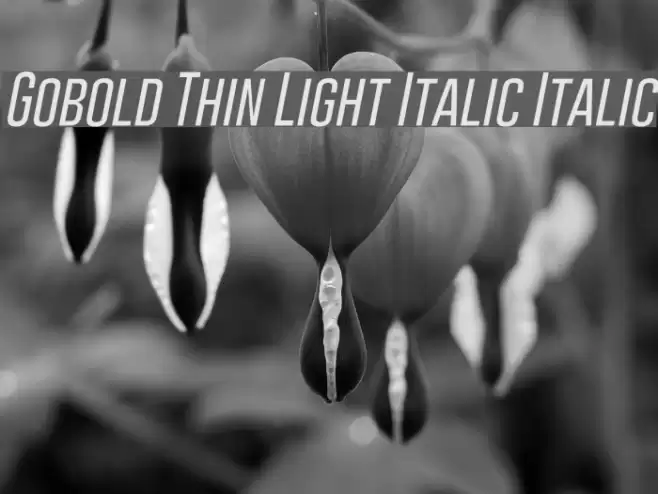 Gobold Thin Light Italic Italic Font examples