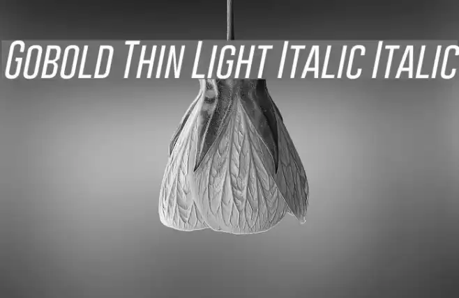 Gobold Thin Light Italic Italic Font examples