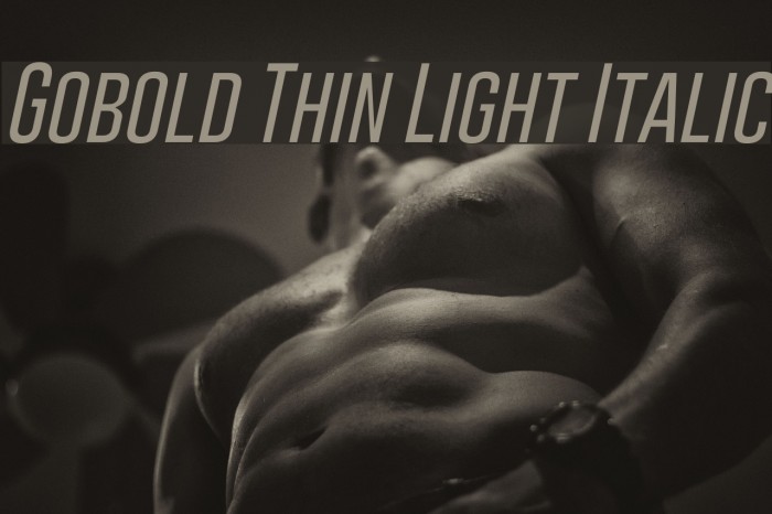 Gobold Thin Light Italic Font examples