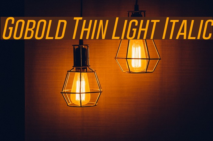 Gobold Thin Light Italic Font examples