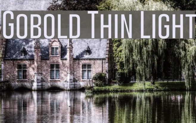 Gobold Thin Light Example 1