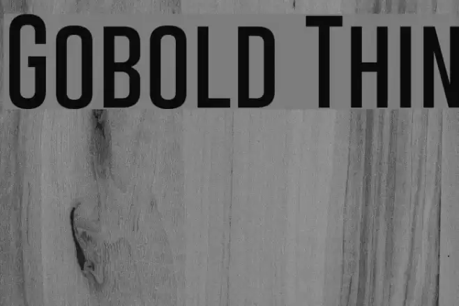 Gobold Thin Font examples