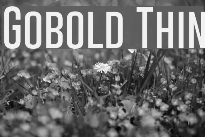 Gobold Thin Font examples